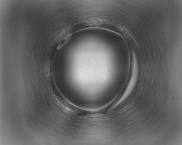 X0000053020501200507221343