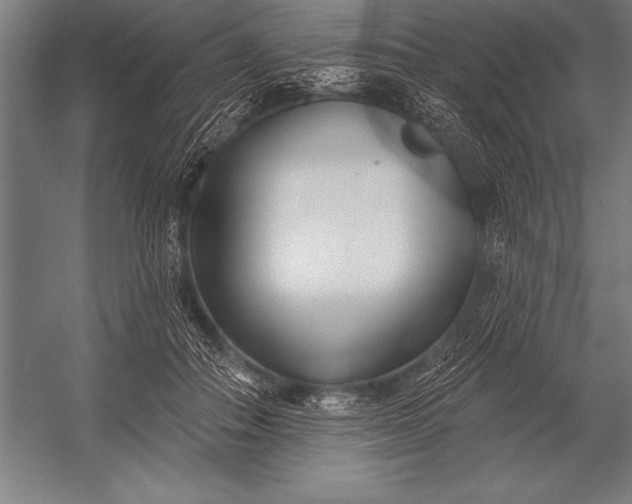 X0000053020506200507221343