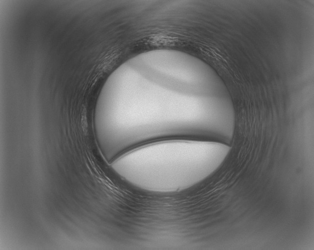 X0000053020508200507221343