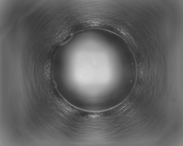 X0000053020509200507221343