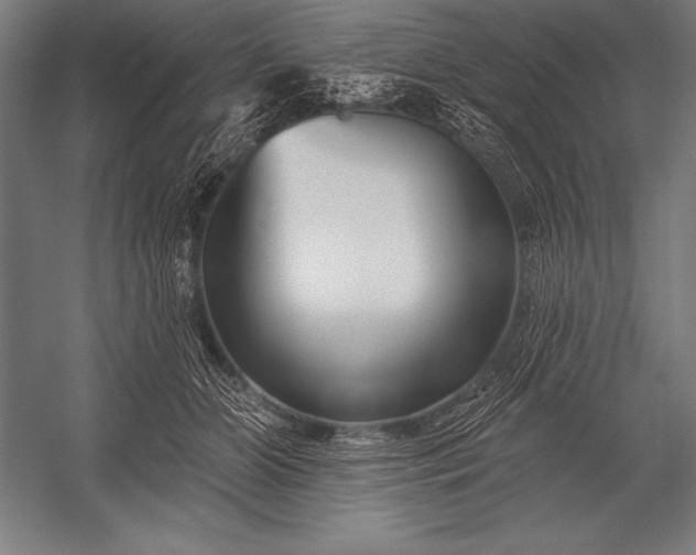 X0000053020510200507221343