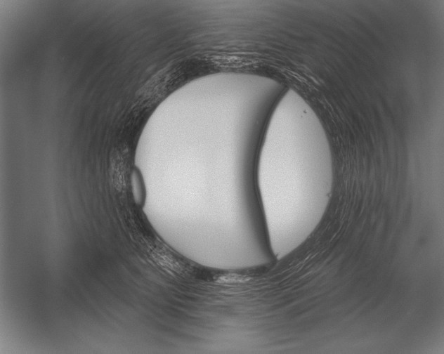 X0000053020515200507221343