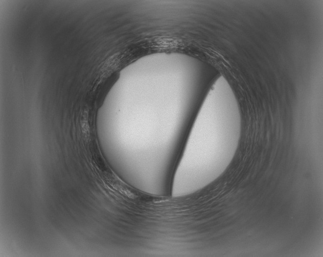 X0000053020516200507221343