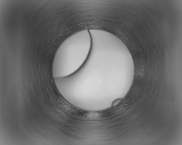 X0000053020518200507221343