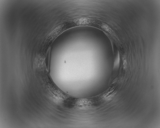 X0000053020521200507221343