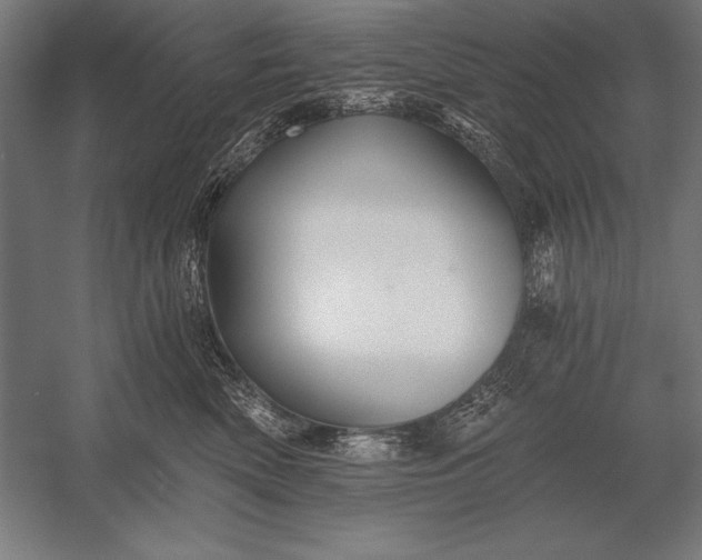 X0000053020522200507221343