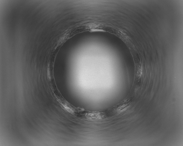 X0000053020524200507221343