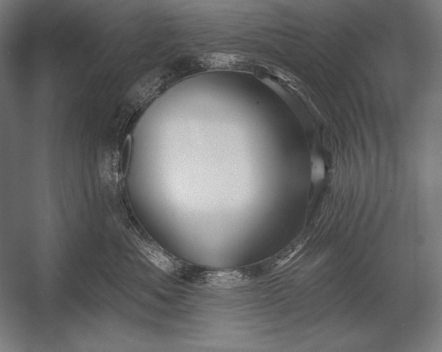 X0000053020525200507221343