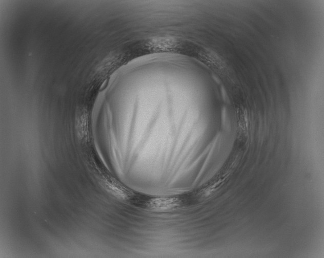 X0000053020526200507221343