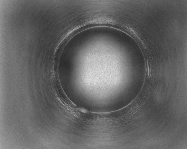 X0000053020531200507221342
