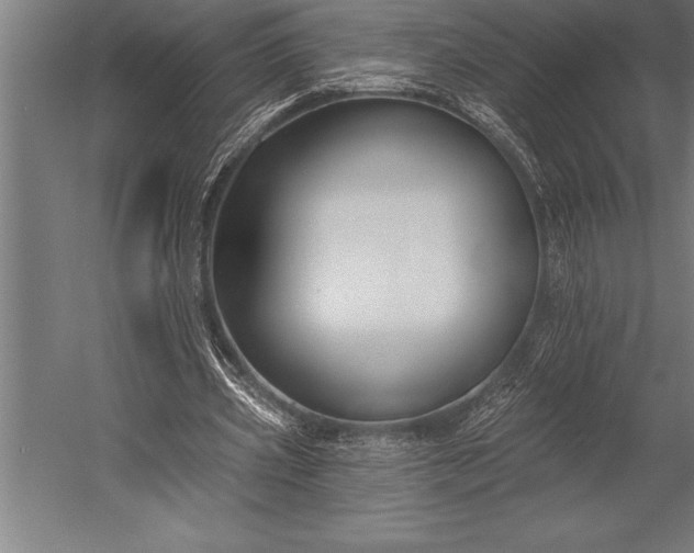 X0000053020533200507221342