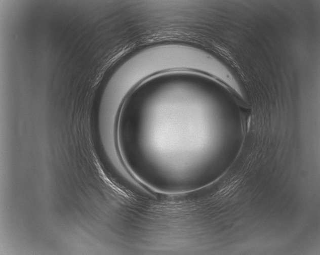 X0000053020538200507221342