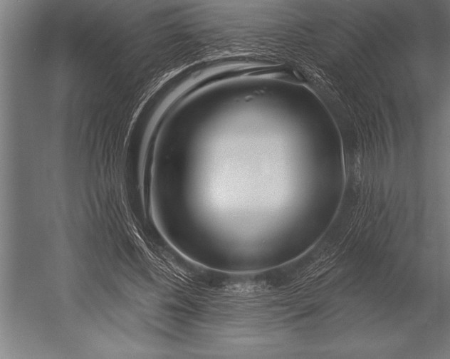 X0000053020540200507221342