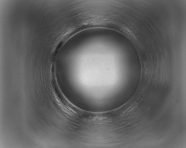 X0000053020542200507221342