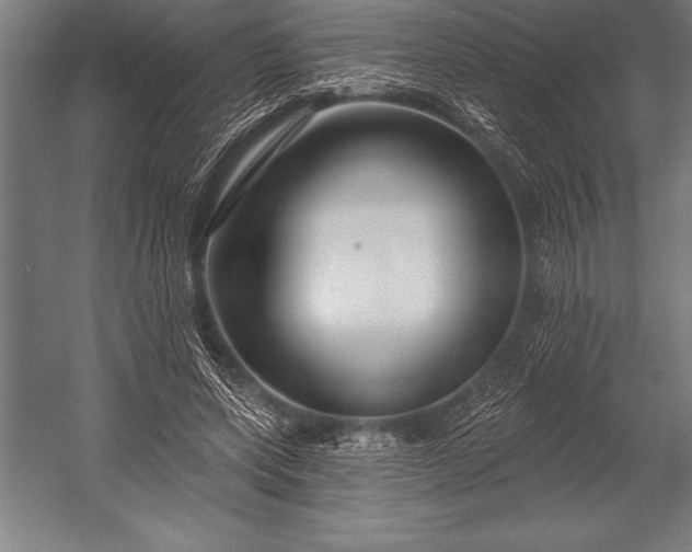 X0000053020543200507221342