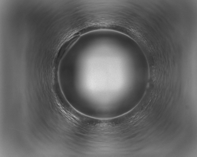X0000053020544200507221342
