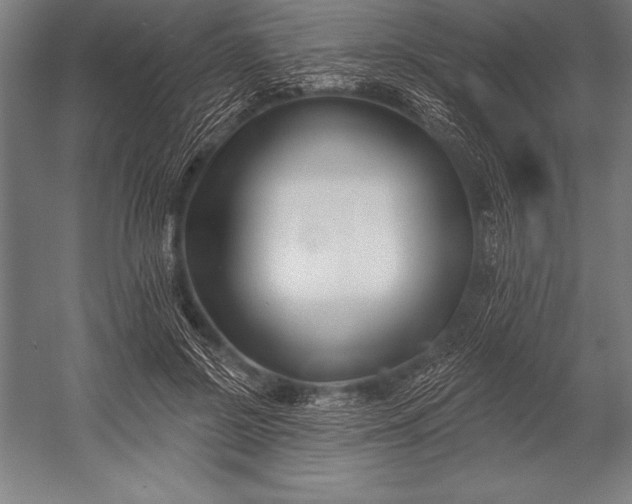 X0000053020550200507221342
