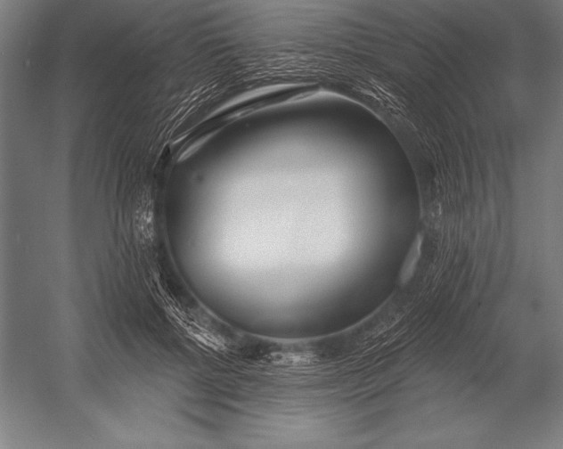 X0000053020552200507221342