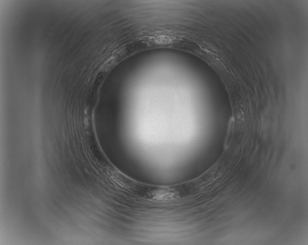X0000053020555200507221342
