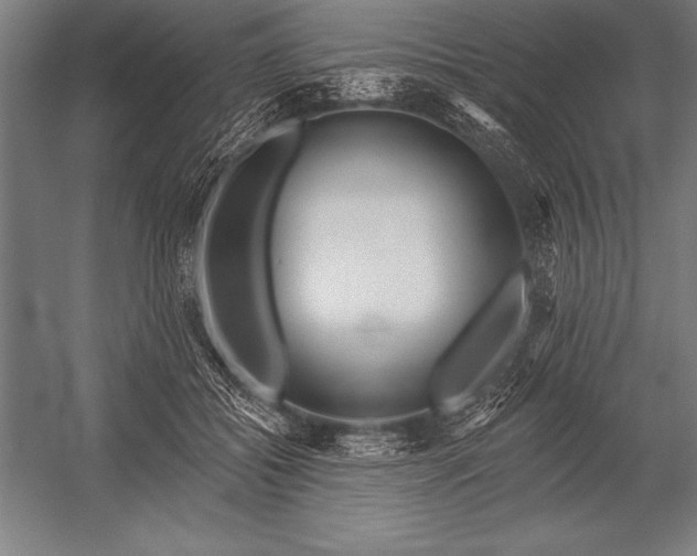X0000053020556200507221342