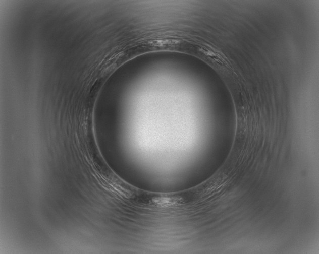 X0000053020558200507221342