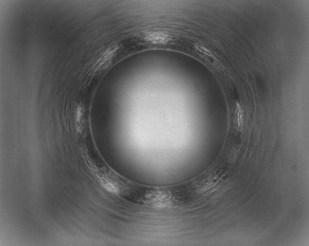 X0000053020559200507221342