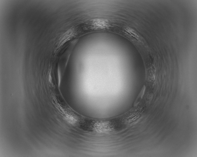 X0000053020560200507221342