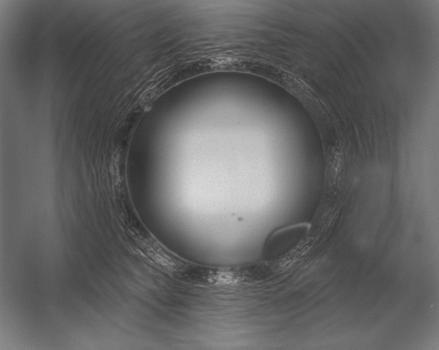 X0000053020565200507221342