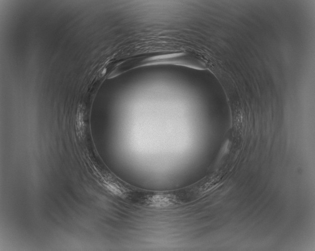 X0000053020566200507221342