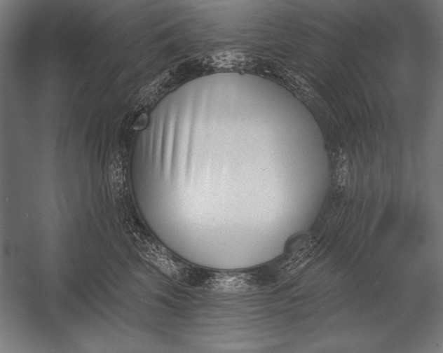 X0000053020569200507221343