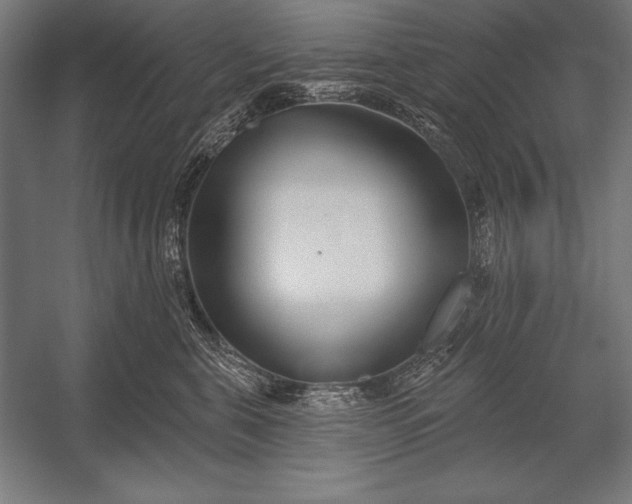 X0000053020571200507221343