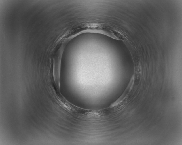 X0000053020572200507221343