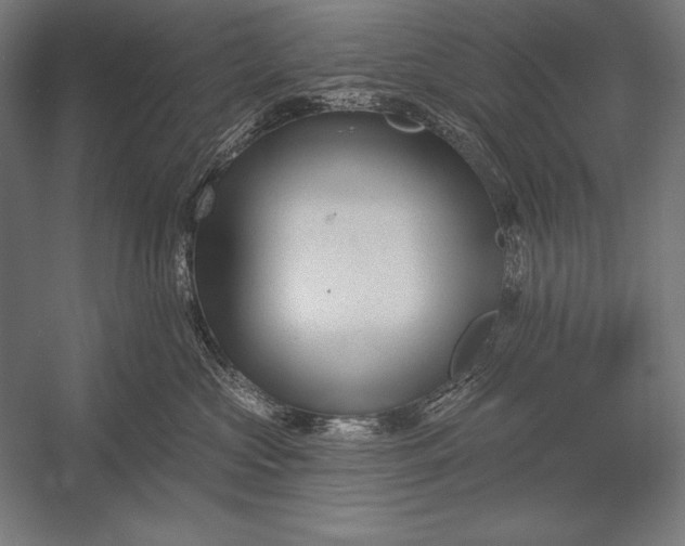 X0000053020573200507221343