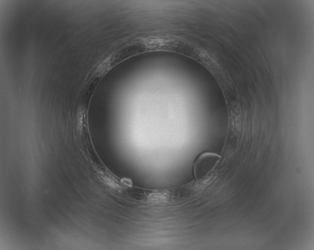 X0000053020574200507221343