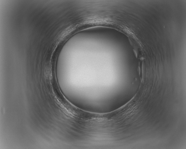 X0000053020582200507221342