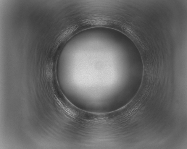 X0000053020586200507221342