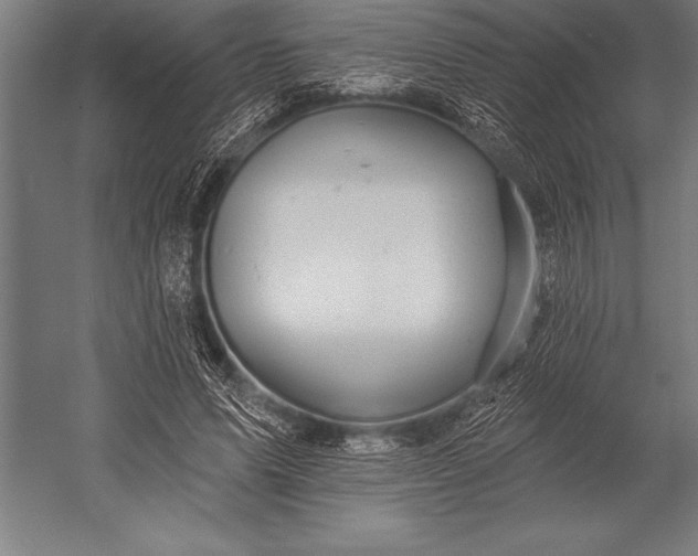 X0000053020591200507221342