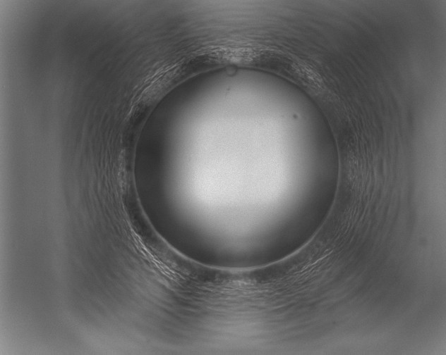 X0000053020594200507221342