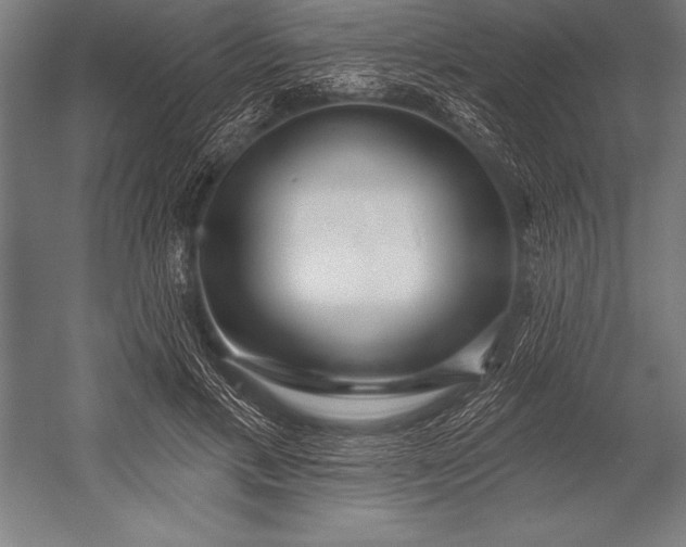X0000053020597200507221341