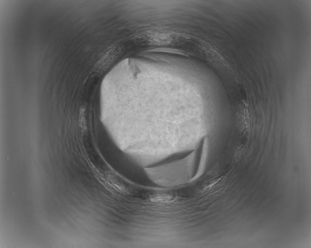 X0000053020598200507221341