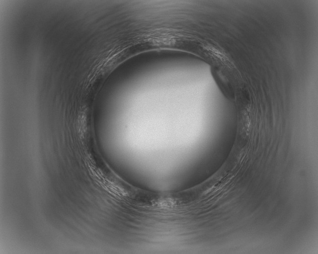 X0000053020600200507221341