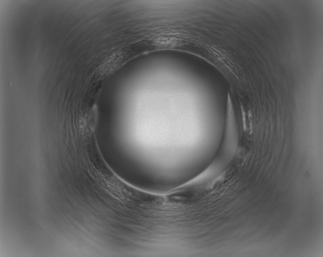 X0000053020601200507221341
