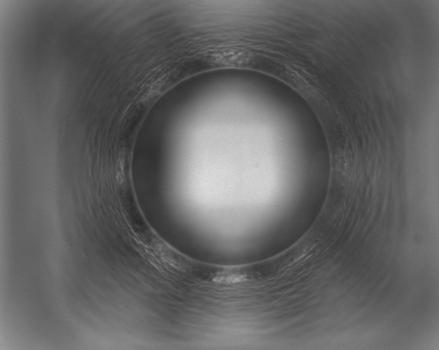 X0000053020602200507221341