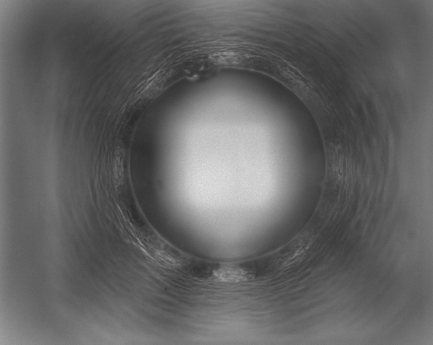 X0000053020603200507221341