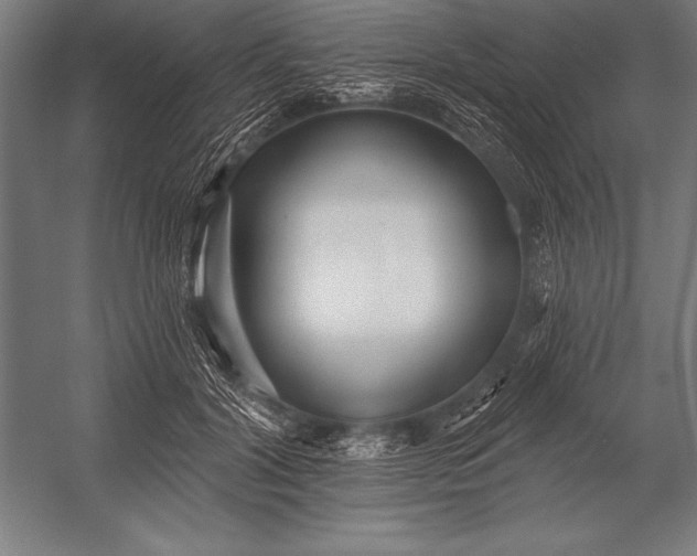 X0000053020604200507221341