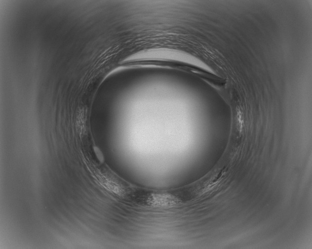 X0000053020605200507221341