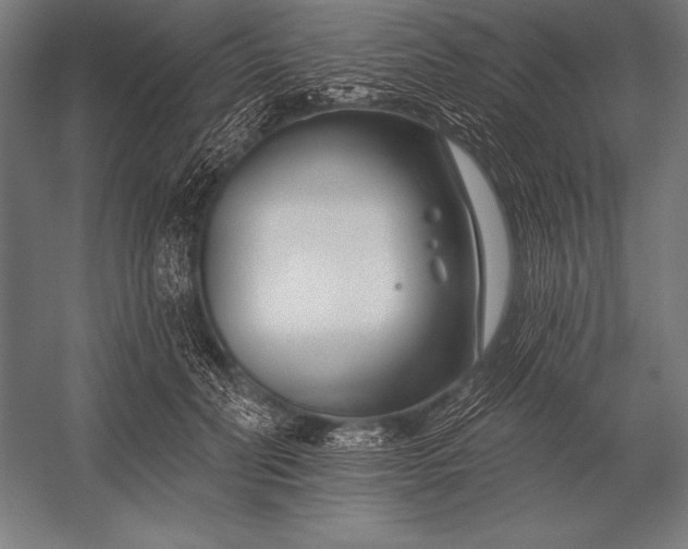 X0000053020606200507221341