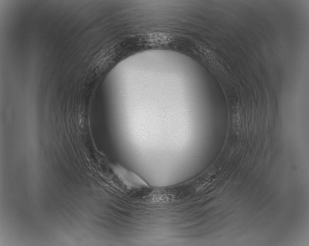 X0000053020608200507221341