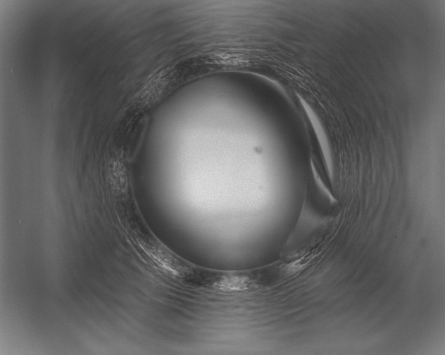 X0000053020609200507221341