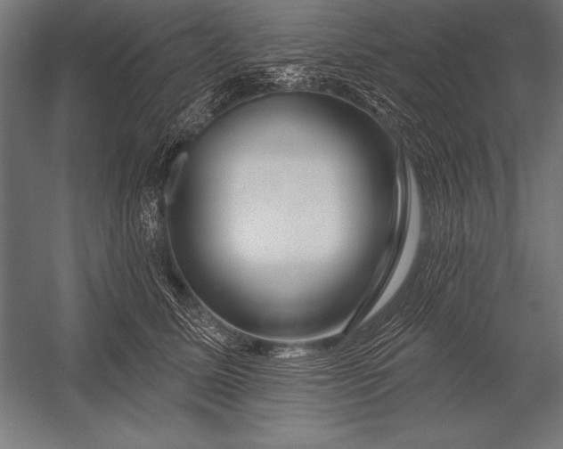 X0000053020611200507221341